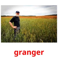 granger picture flashcards