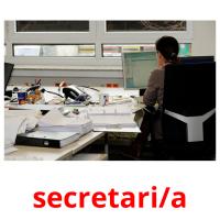 secretari/a Tarjetas didacticas