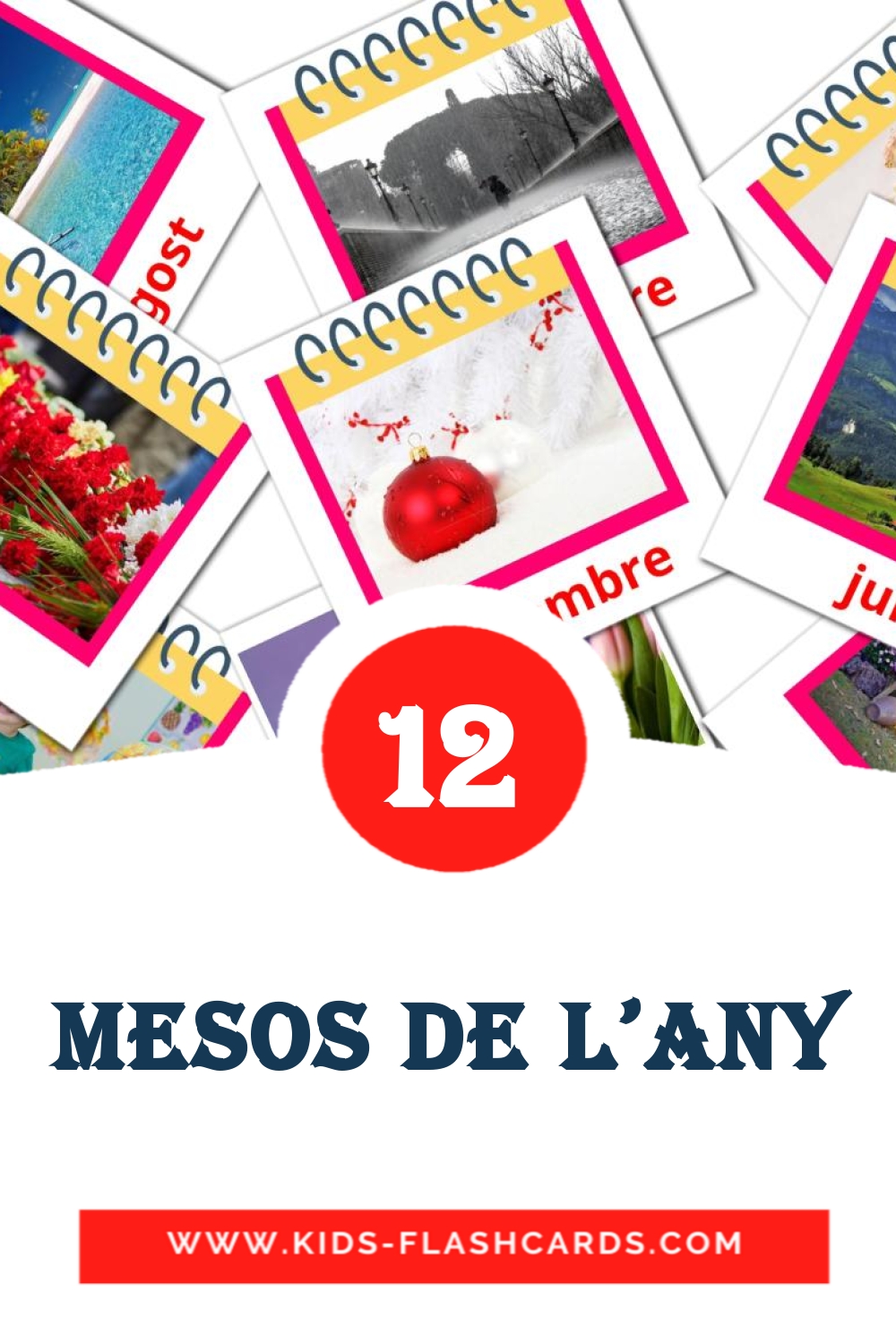 12 tarjetas didacticas de Mesos de l'any para el jardín de infancia en catalán