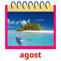 agost flashcards illustrate