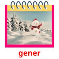 gener picture flashcards