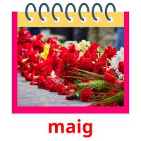 maig picture flashcards