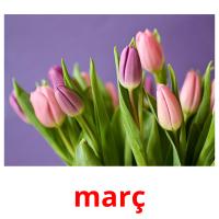 març picture flashcards