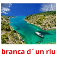 branca d´un riu Bildkarten für Kinder