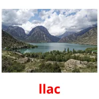 llac Bildkarten für Kinder