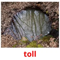 toll billedkort for børn med billeder