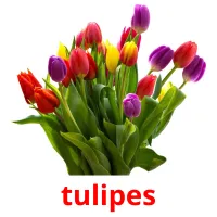 tulipes bildkort för barn