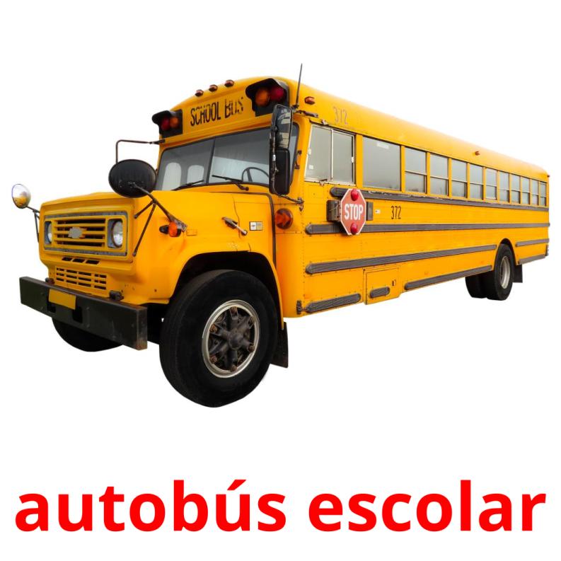autobús escolar picture flashcards