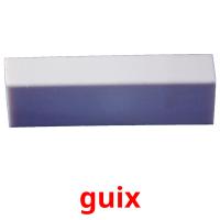 guix picture flashcards