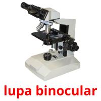 lupa binocular flashcards illustrate
