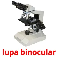 lupa binocular Bildkarteikarten