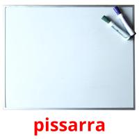 pissarra picture flashcards