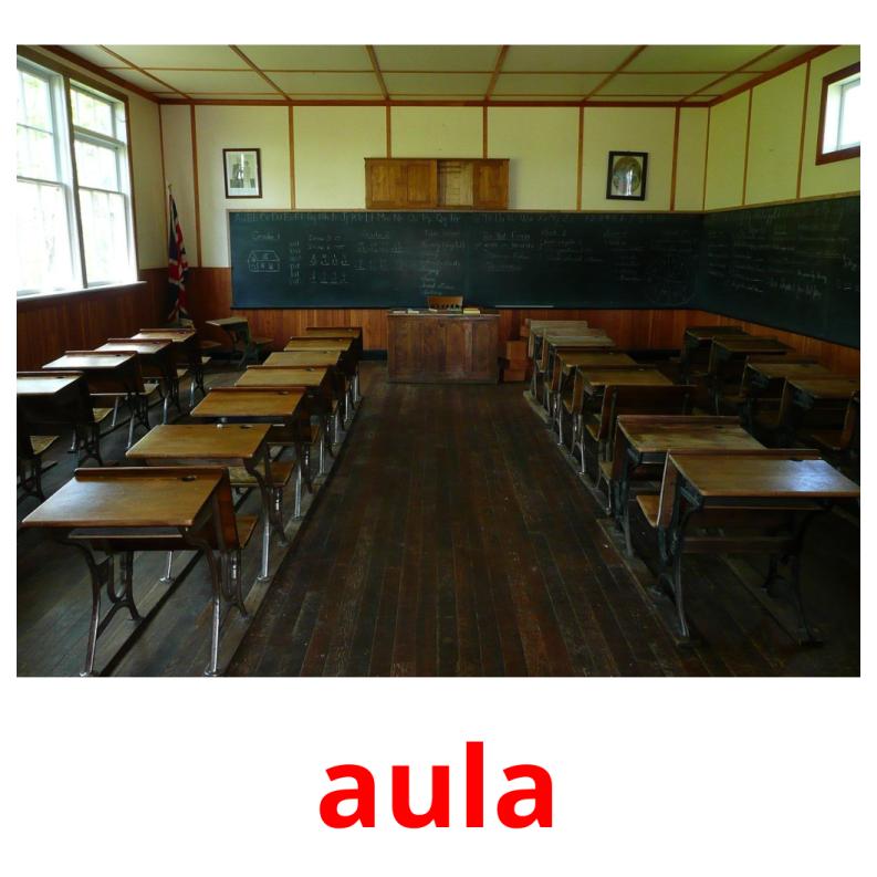 aula Tarjetas didacticas