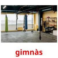 gimnàs Tarjetas didacticas
