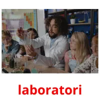 laboratori Tarjetas didacticas