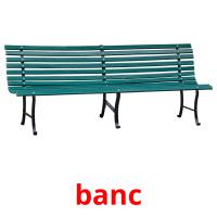 banc picture flashcards