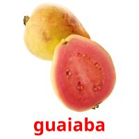 guaiaba picture flashcards