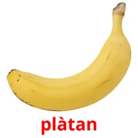 plàtan Bildkarteikarten