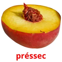 préssec Bildkarteikarten