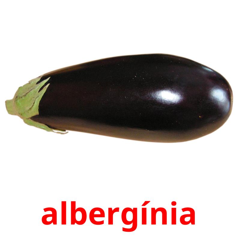 albergínia picture flashcards