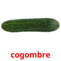cogombre card for translate