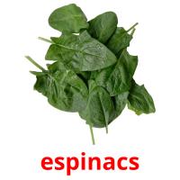 espinacs picture flashcards