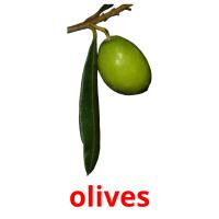 olives picture flashcards