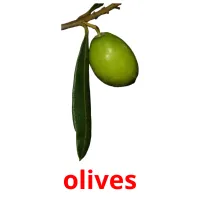 olives cartes flash