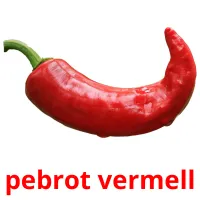 pebrot vermell cartes flash