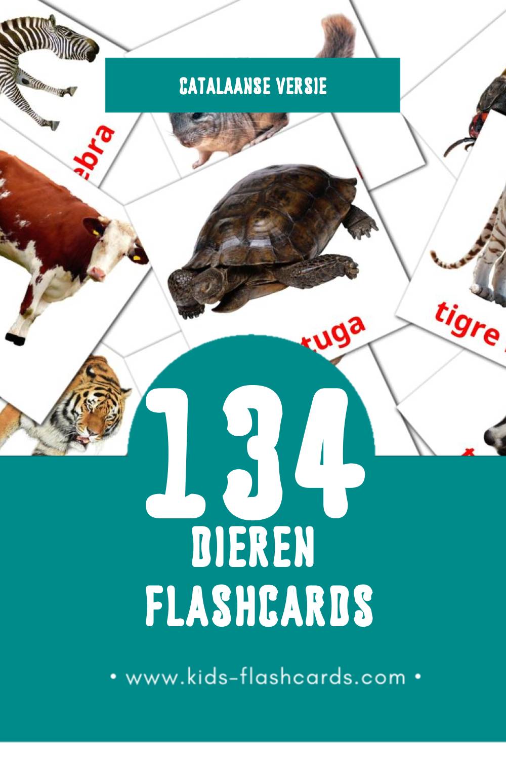 Visuele Animals Flashcards voor Kleuters (134 kaarten in het Catalaans)