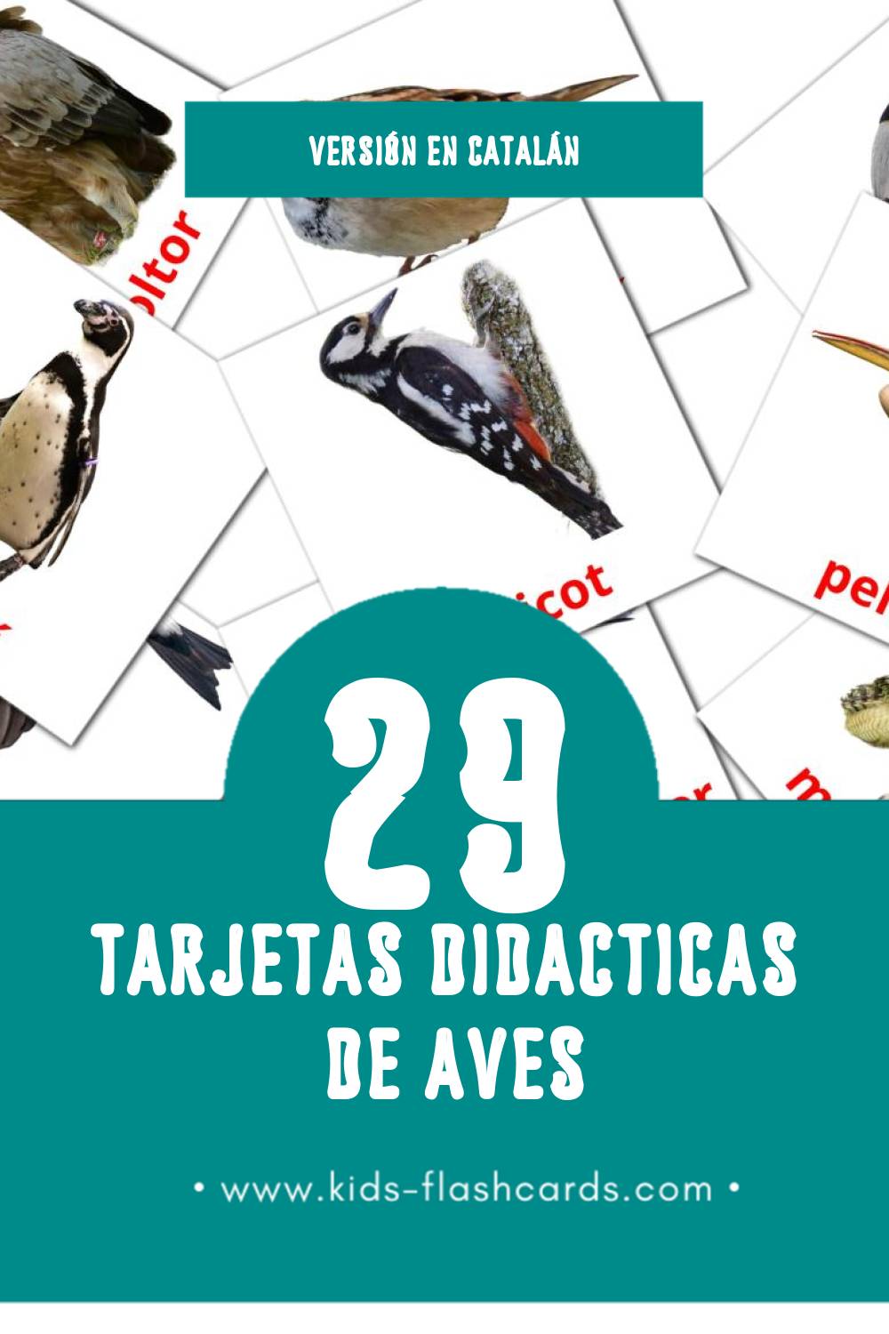 Tarjetas visuales de Ocells para niños pequeños (29 tarjetas en Catalán)
