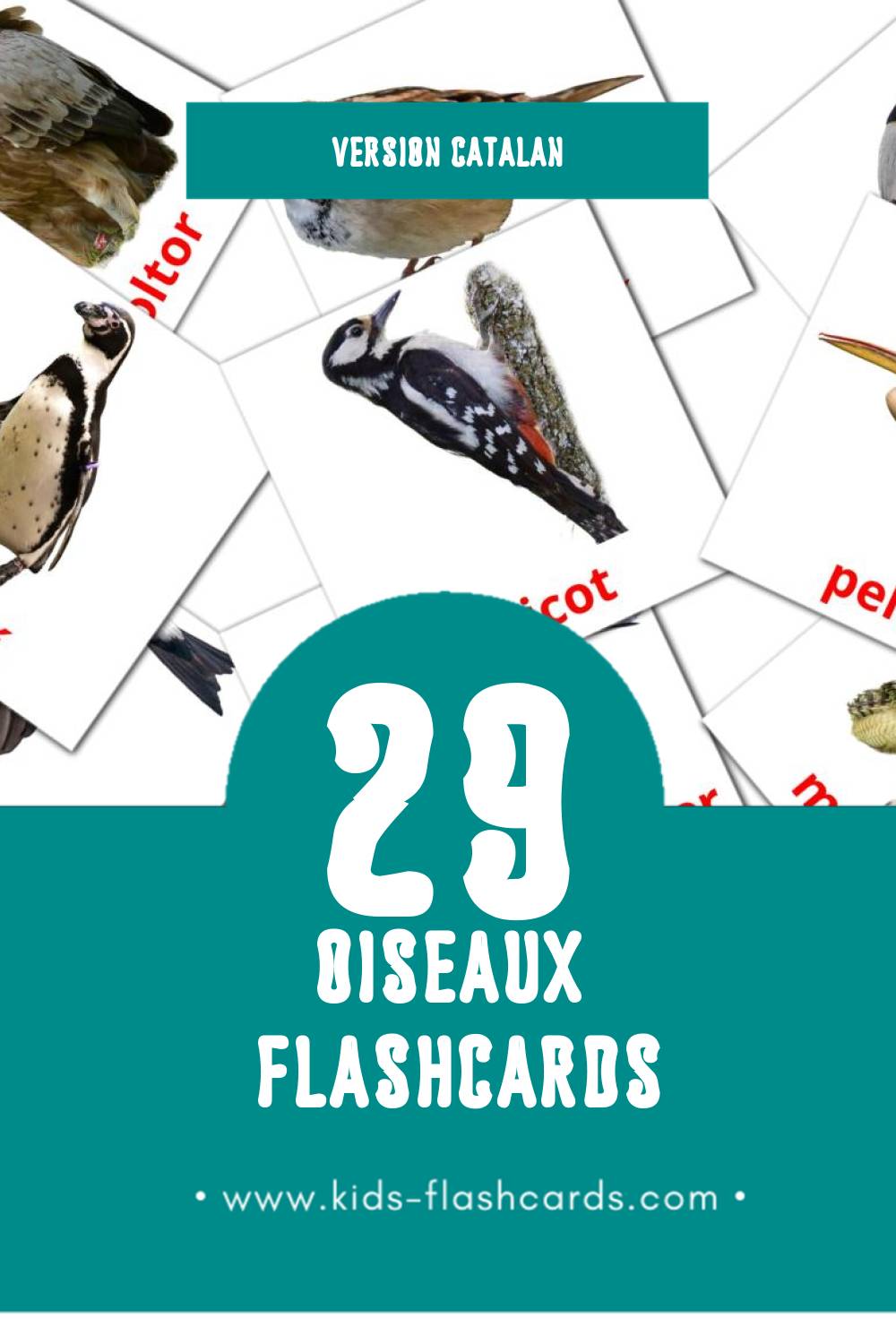 Flashcards Visual Ocells pour les tout-petits (29 cartes en Catalan)