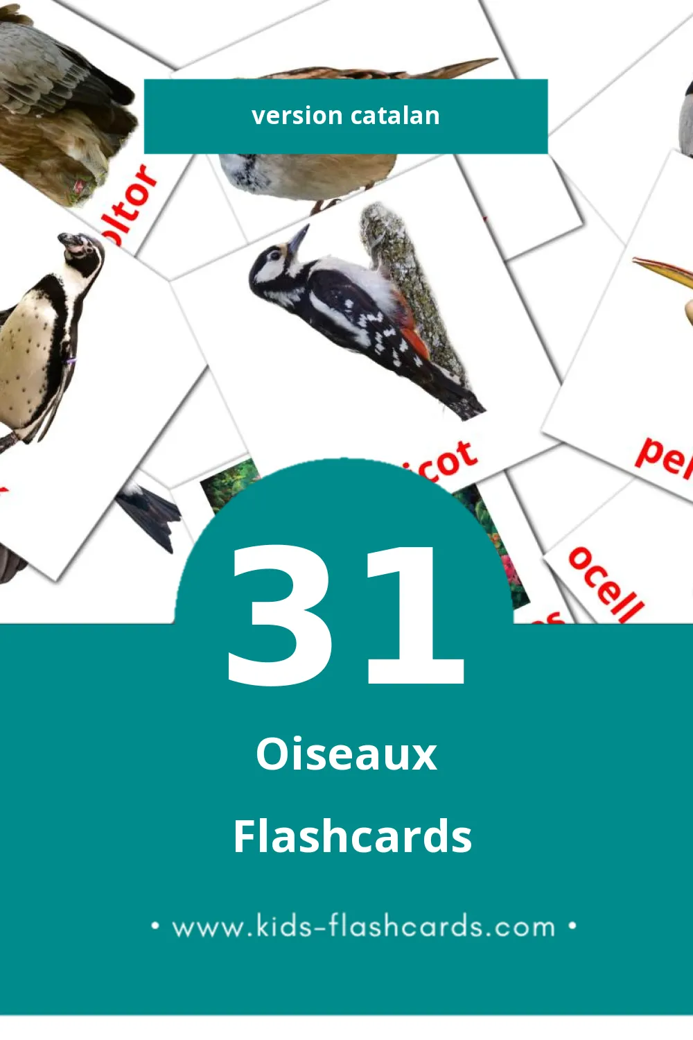 Flashcards Visual Ocells pour les tout-petits (31 cartes en Catalan)