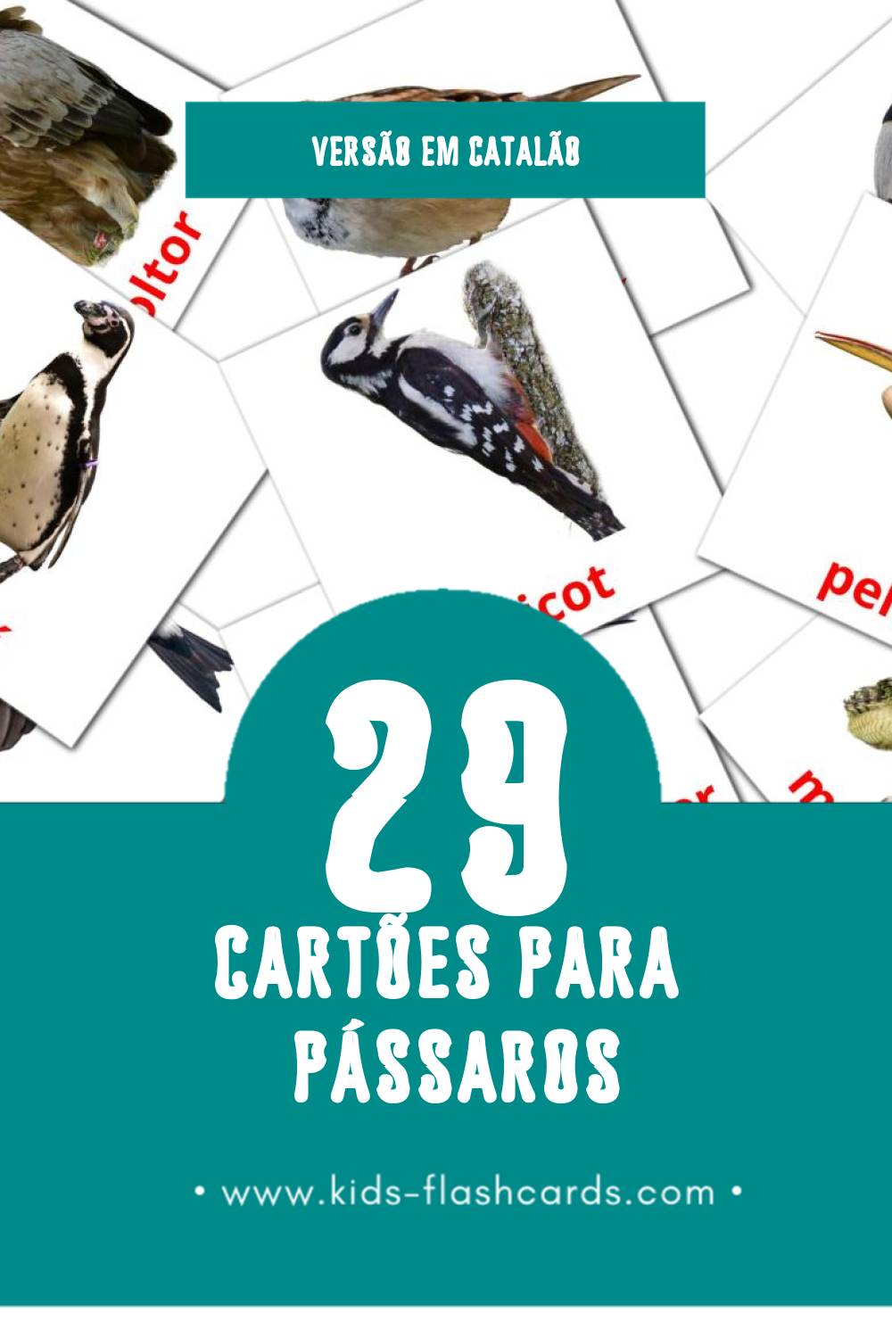 Flashcards de Ocells Visuais para Toddlers (29 cartões em Catalão)