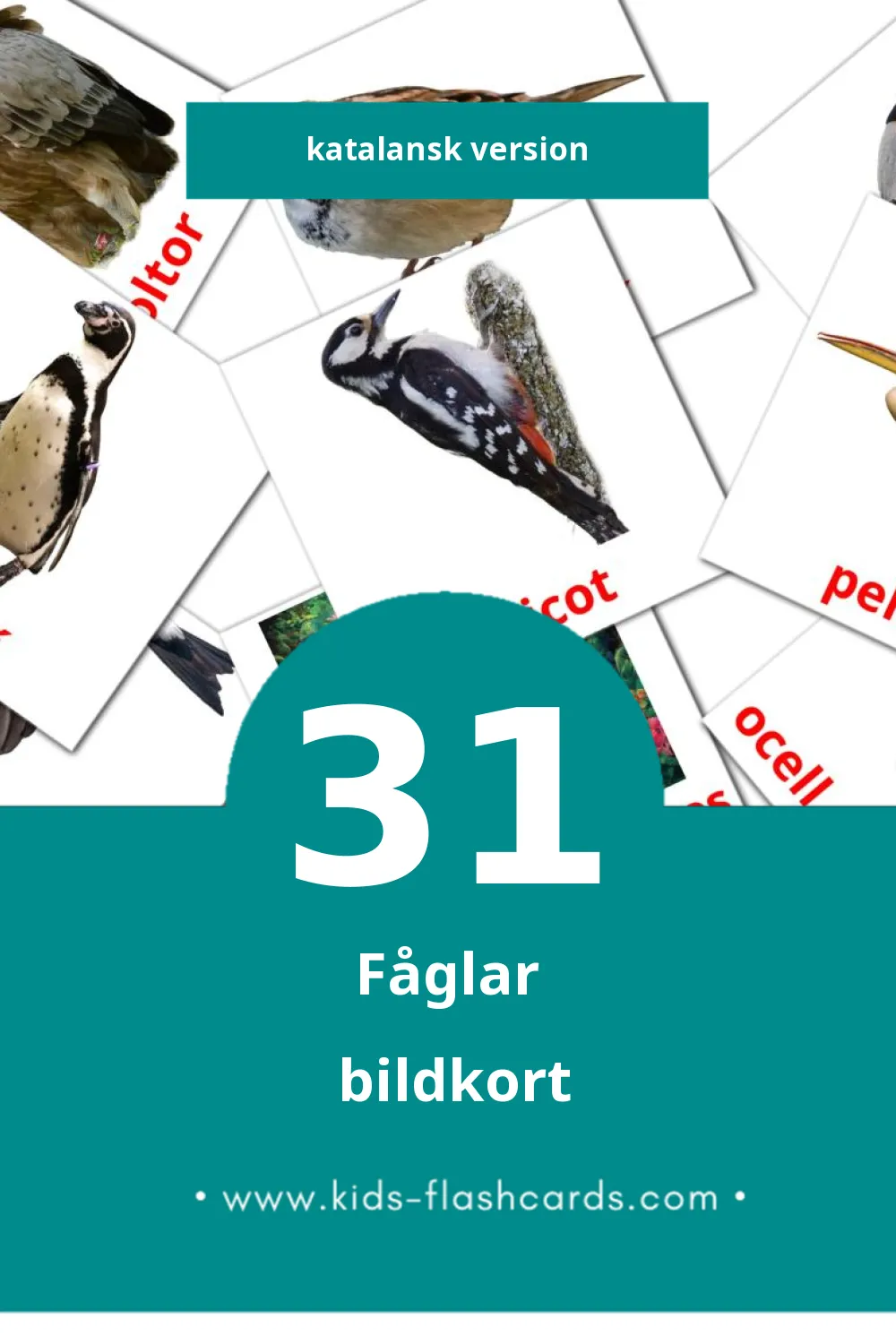 Visuella Ocells för småbarn (31 bildkort för barn på Katalansk)