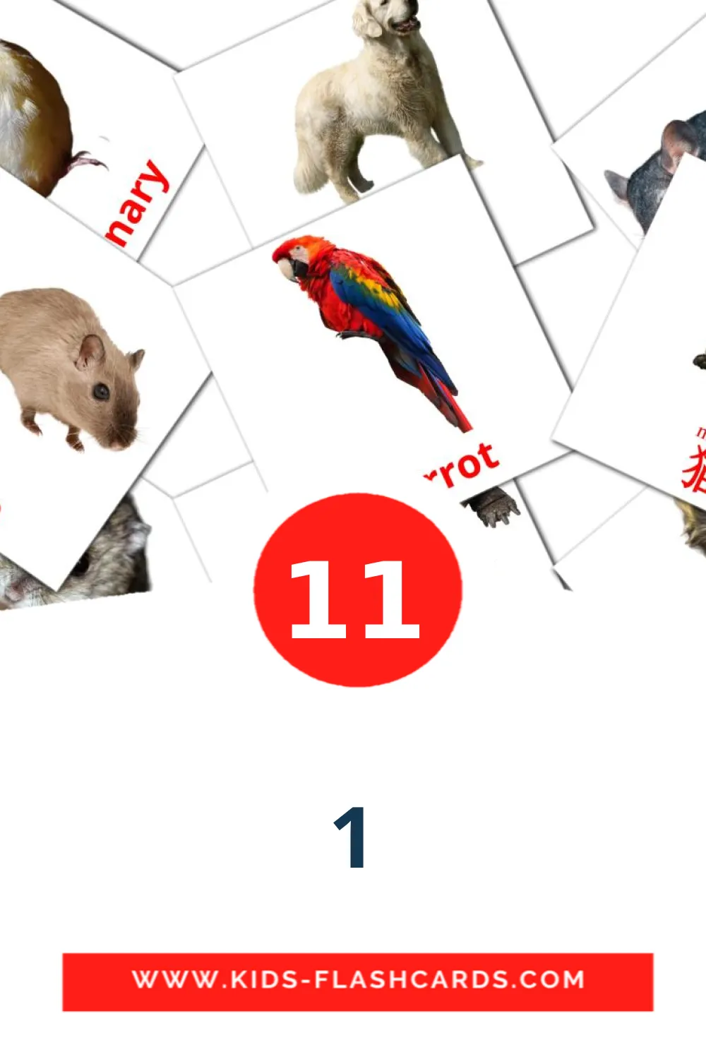 21 tarjetas didacticas de School supplies para el jardín de infancia en kantonesisk(dagligtale)