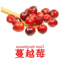 蔓越莓 bildekort