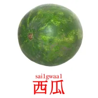 西瓜 bildekort