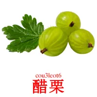 醋栗 bildekort