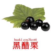 黑醋栗 bildekort