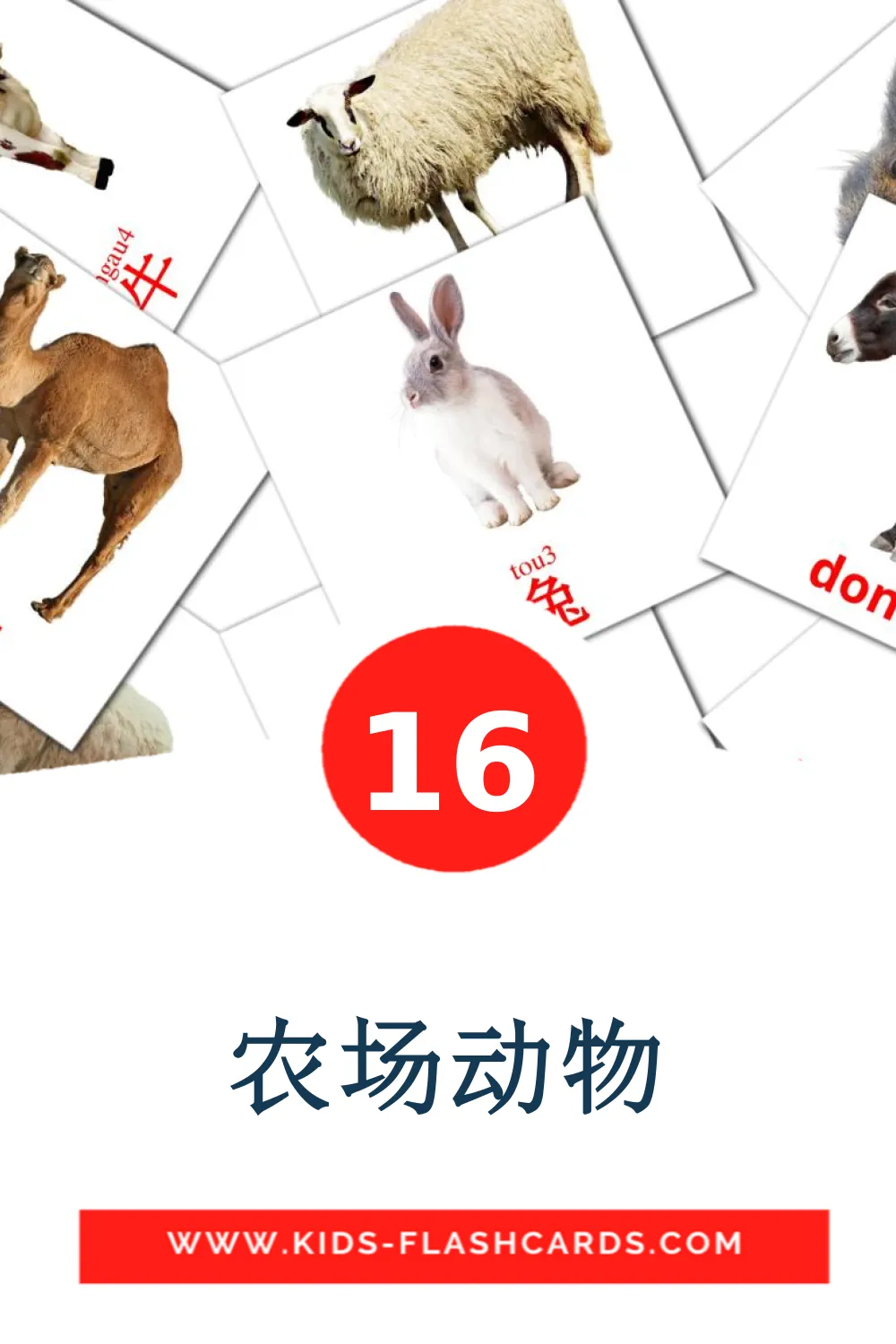 16 农场动物 Picture Cards for Kindergarden in cantonese(Colloquial)