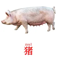猪 picture flashcards