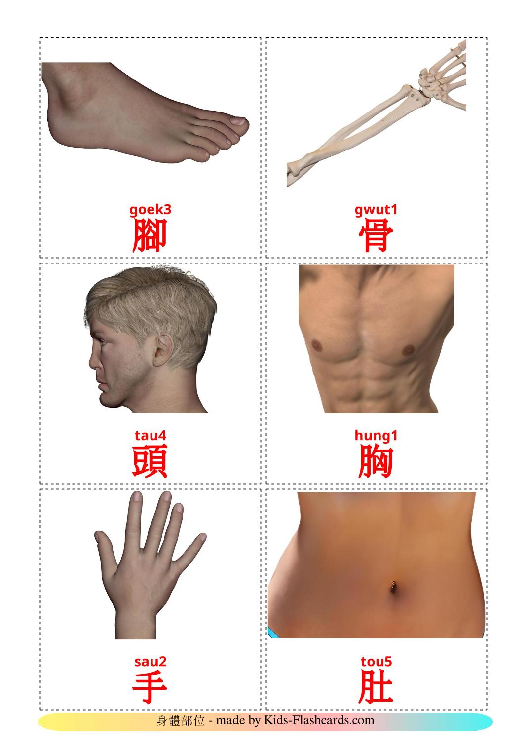 Body Parts - 26 Free Printable cantonese(Colloquial) Flashcards 