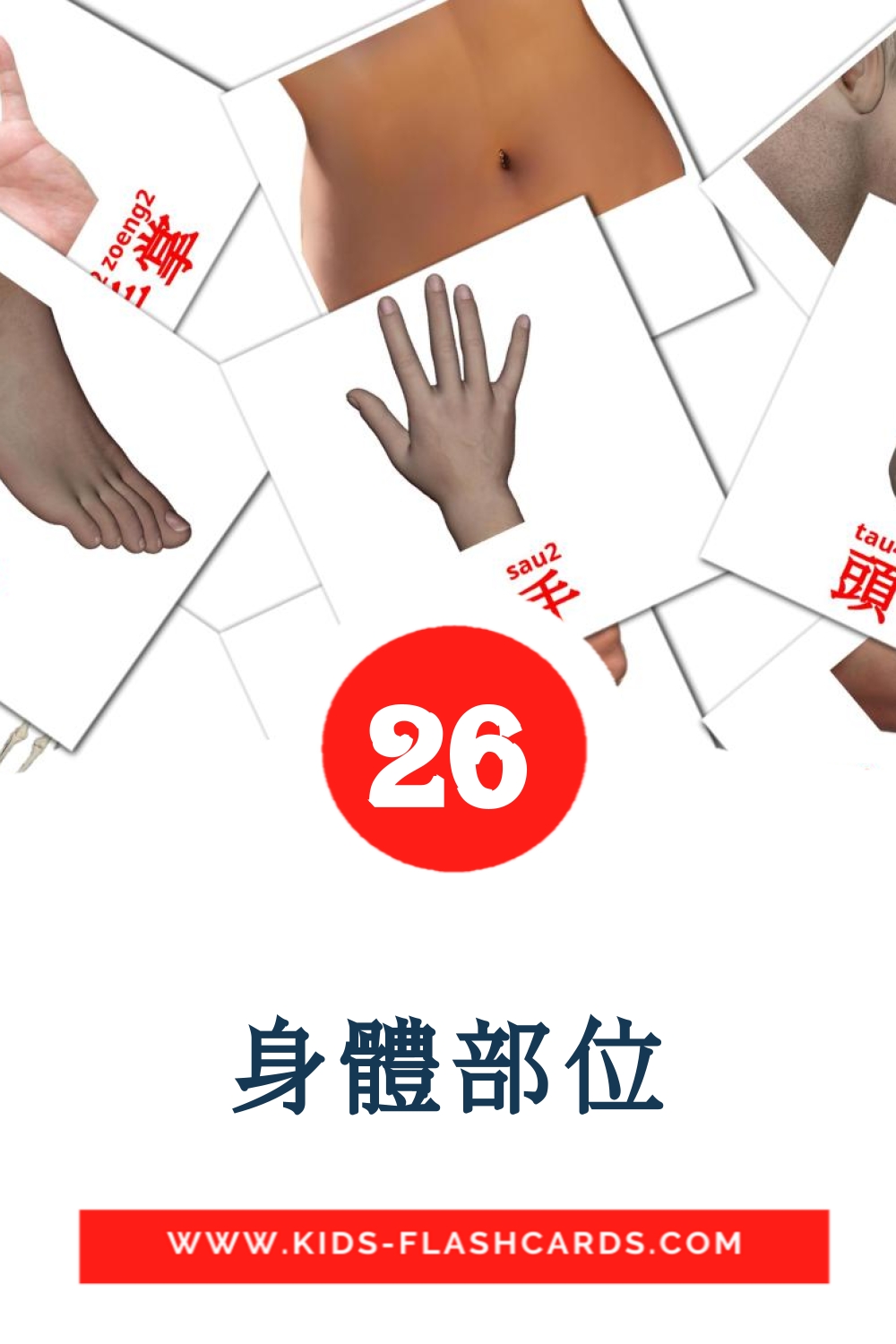 26 Cartões com Imagens de 身體部位 para Jardim de Infância em cantonês(coloquial)