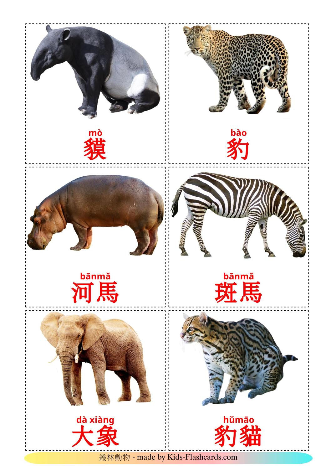 Les Animaux de la Jungle - 21 Flashcards cantonais imprimables gratuitement