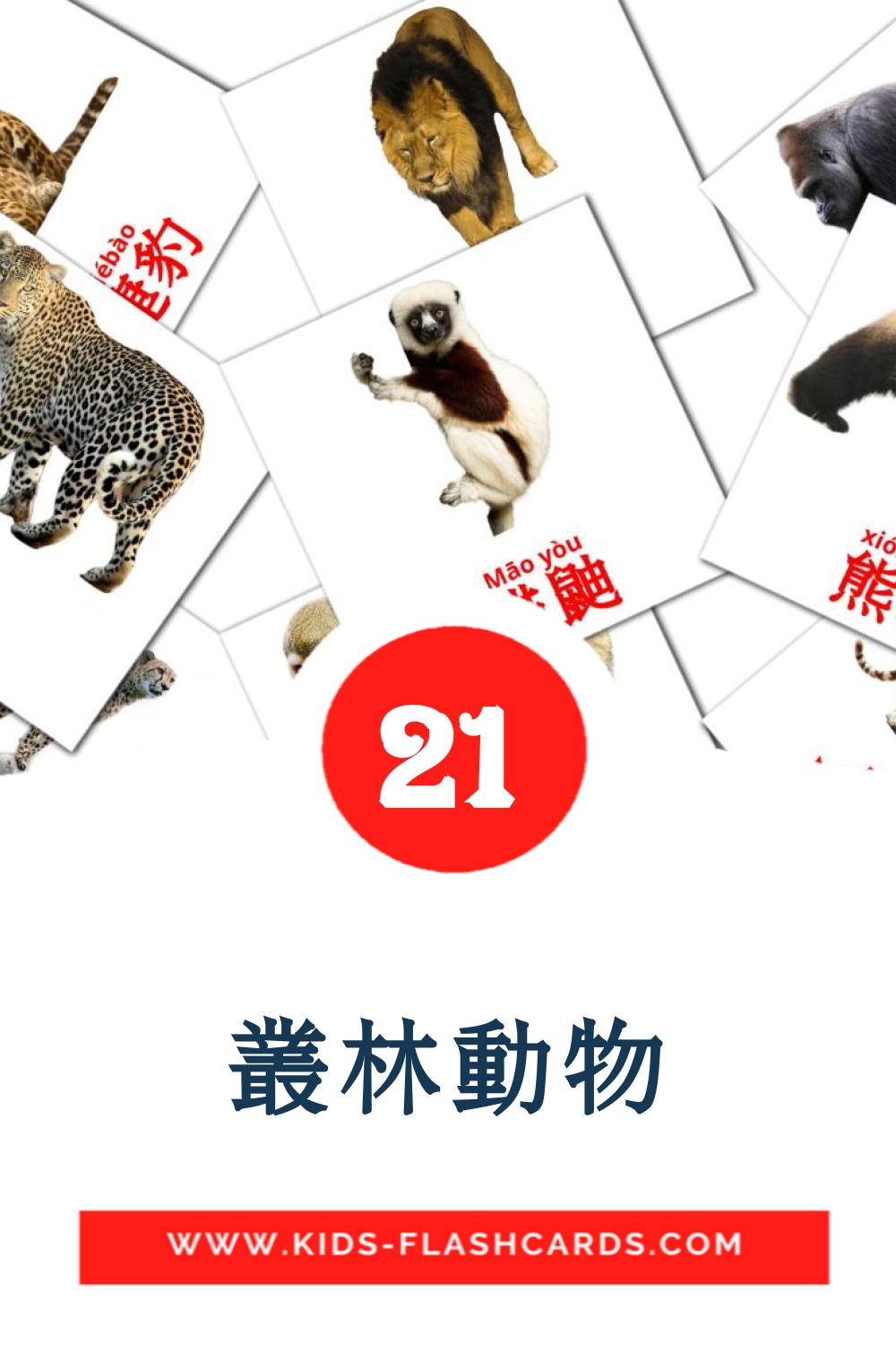 21 cartes illustrées de 叢林動物 pour la maternelle en cantonais