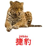 捷豹 flashcards illustrate