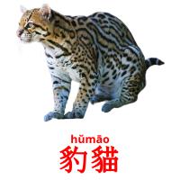 豹貓 cartões com imagens