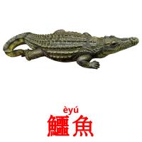鱷魚 карточки энциклопедических знаний