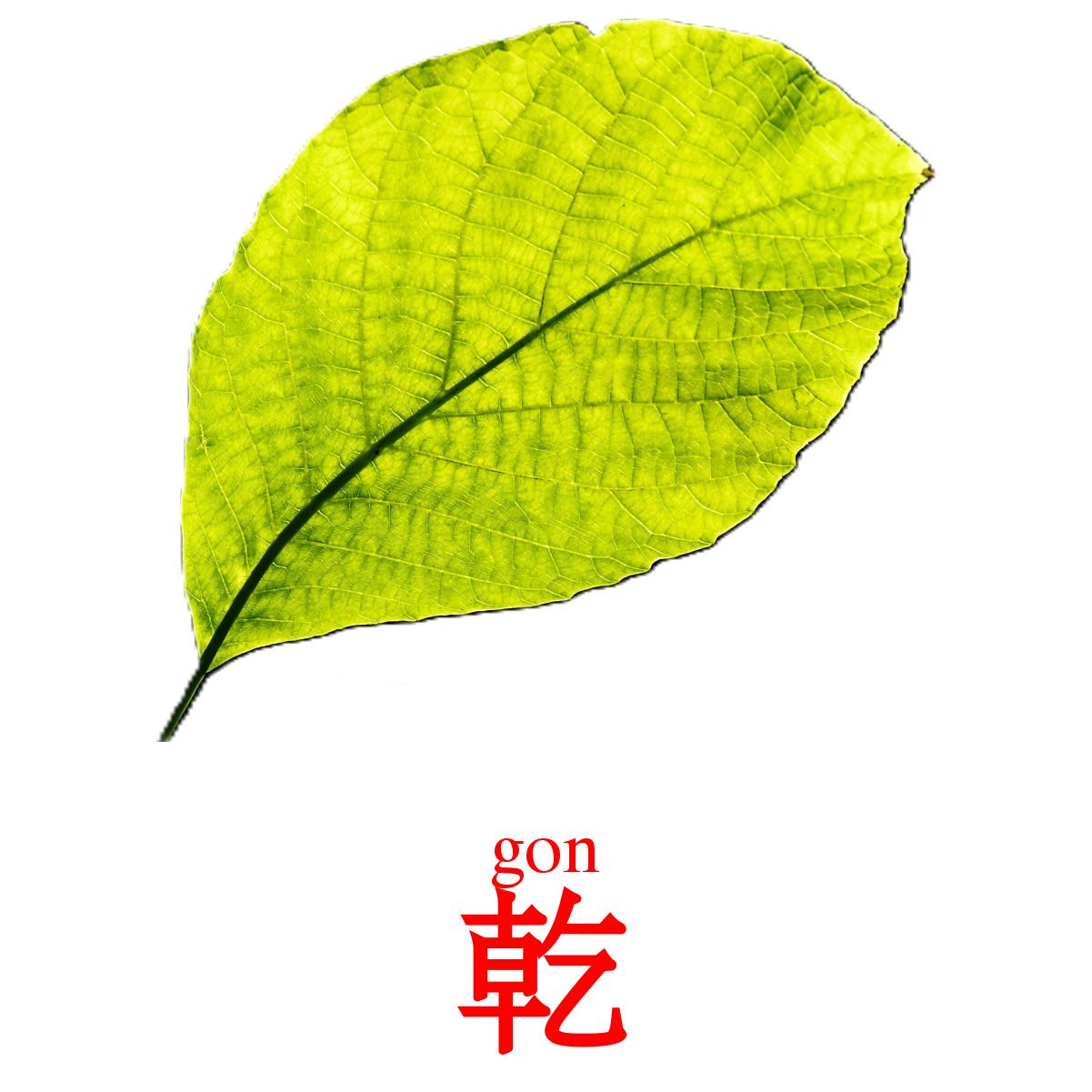 乾 карточки энциклопедических знаний